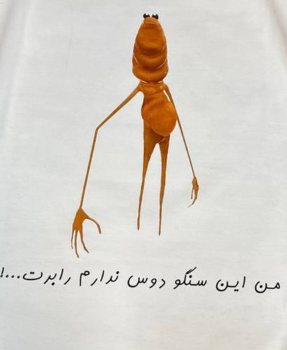 مارکوس و رابرت